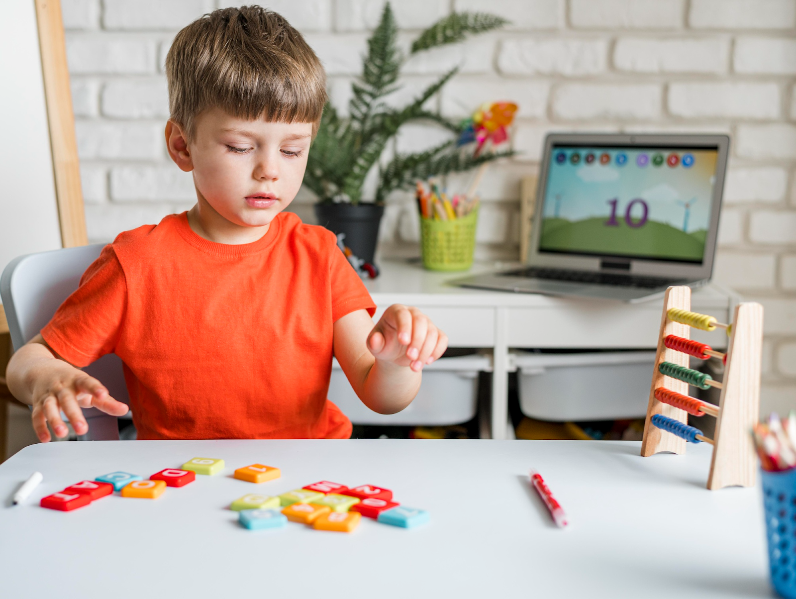 Cognitive Development
